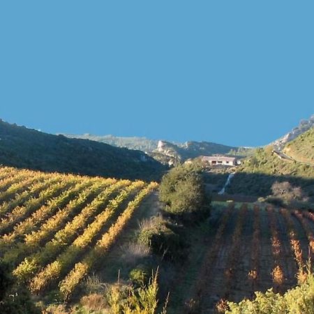 Gite Dans Ancienne Bergerie En Pleine Garrigue Fraisse-des-Corbieres Exterior photo