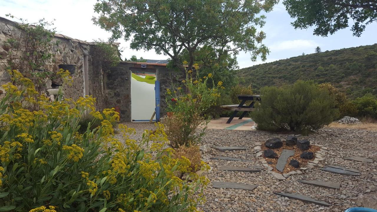 Gite Dans Ancienne Bergerie En Pleine Garrigue Fraisse-des-Corbieres Exterior photo