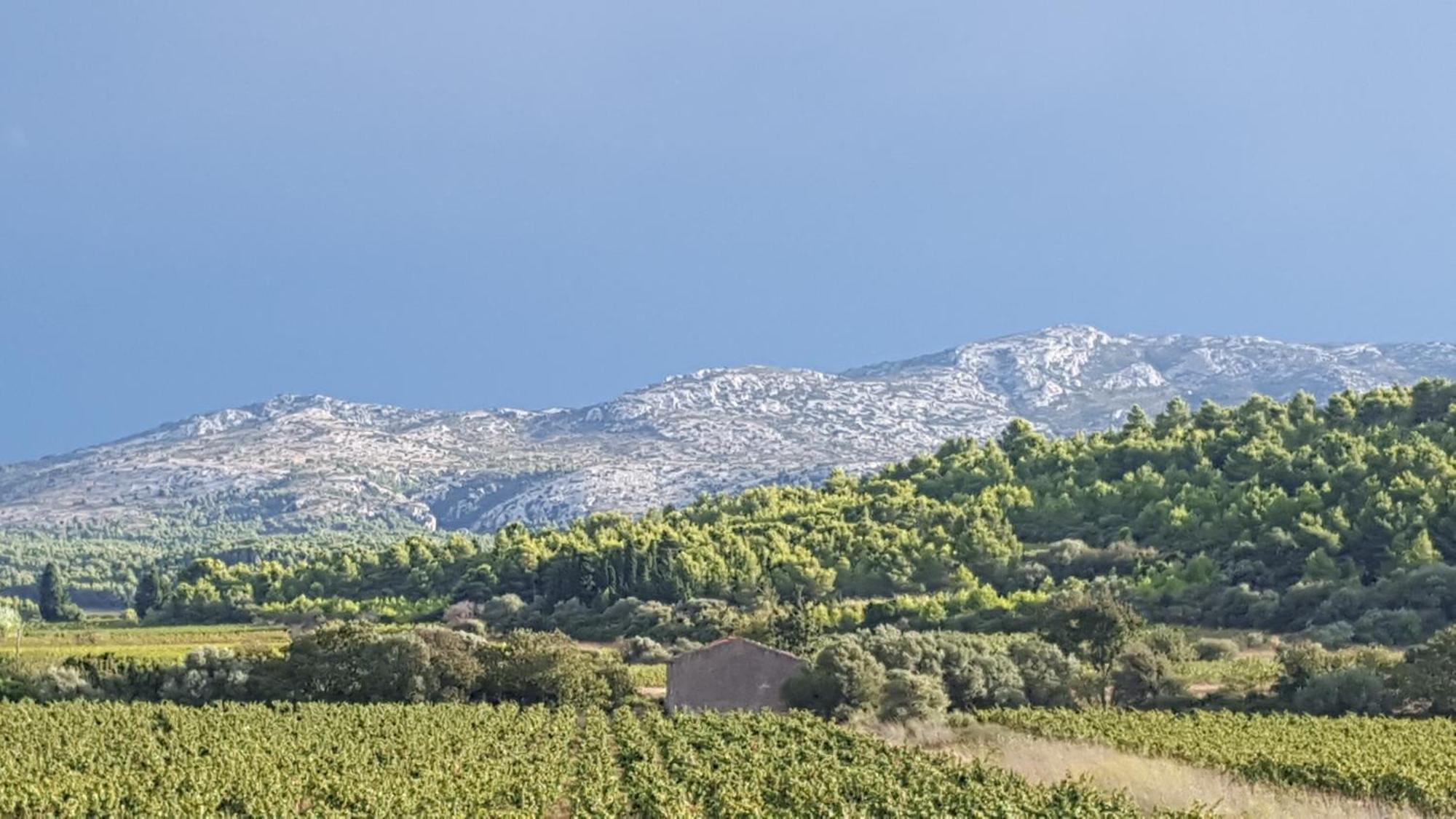 Gite Dans Ancienne Bergerie En Pleine Garrigue Fraisse-des-Corbieres Exterior photo